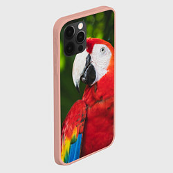 Чехол для iPhone 12 Pro Max Красный попугай Ара, цвет: 3D-светло-розовый — фото 2
