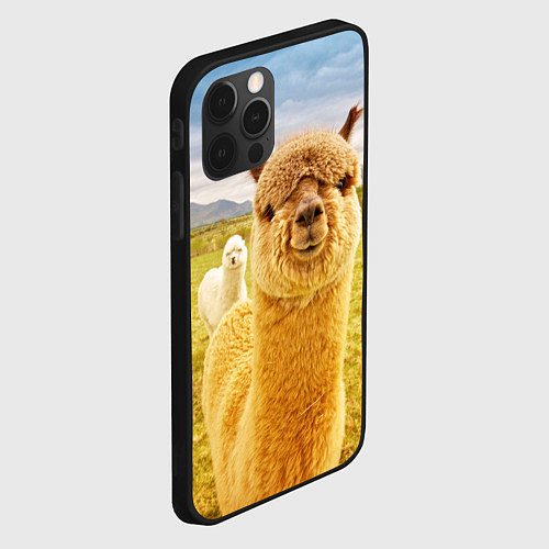 Чехол iPhone 12 Pro Max Ламы - я и друг, найди меня / 3D-Черный – фото 2