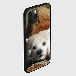 Чехол для iPhone 12 Pro Max Красная панда ждёт, цвет: 3D-черный — фото 2