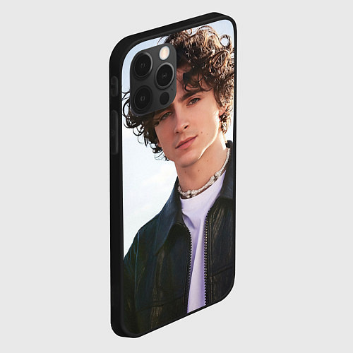 Чехол iPhone 12 Pro Max Timothe for Variety / 3D-Черный – фото 2