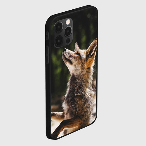 Чехол iPhone 12 Pro Max Лис на задних лапках / 3D-Черный – фото 2