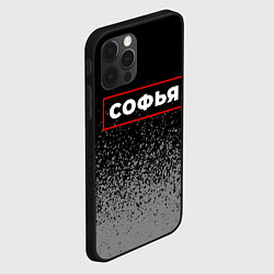 Чехол для iPhone 12 Pro Max Софья - в красной рамке на темном, цвет: 3D-черный — фото 2