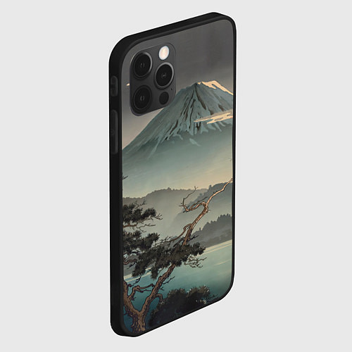 Чехол iPhone 12 Pro Max Великий вулкан Фудзияма / 3D-Черный – фото 2