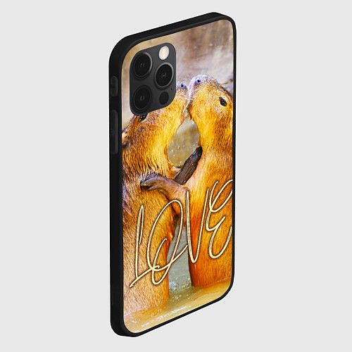 Чехол iPhone 12 Pro Max Влюблённые капибары / 3D-Черный – фото 2