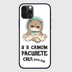 Чехол для iPhone 12 Pro Max Я в самом расцвете сил, цвет: 3D-черный