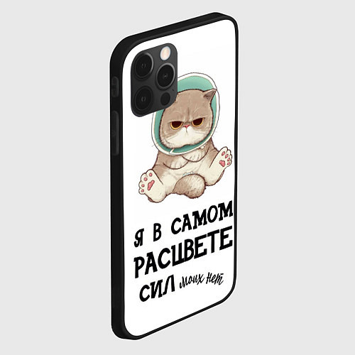 Чехол iPhone 12 Pro Max Я в самом расцвете сил / 3D-Черный – фото 2