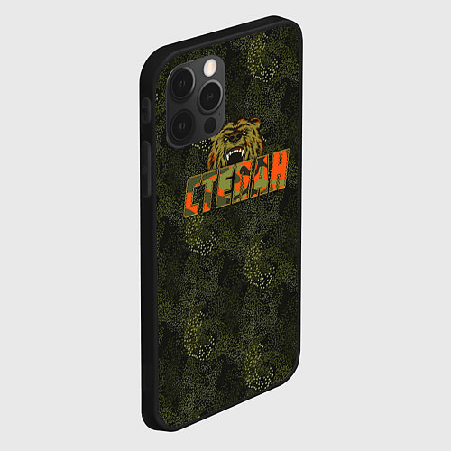 Чехол iPhone 12 Pro Max Степан камуфляж / 3D-Черный – фото 2