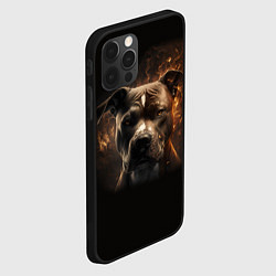 Чехол для iPhone 12 Pro Max Стафф - огонь, цвет: 3D-черный — фото 2