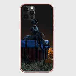 Чехол для iPhone 12 Pro Max PUBG drop, цвет: 3D-светло-розовый