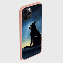 Чехол для iPhone 12 Pro Max Черный кот и звезды - акварель, цвет: 3D-светло-розовый — фото 2