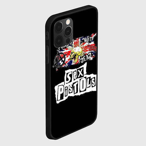 Чехол iPhone 12 Pro Max Sex Pistols - punks not dead / 3D-Черный – фото 2