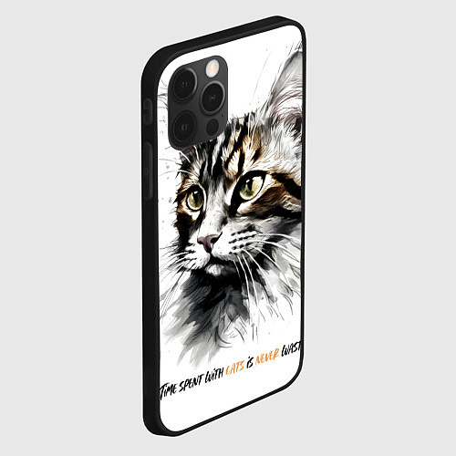 Чехол iPhone 12 Pro Max Время с кошкой никогда не потрачено зря / 3D-Черный – фото 2