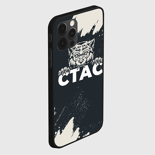 Чехол iPhone 12 Pro Max Стас зубастый волк / 3D-Черный – фото 2