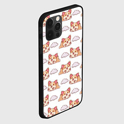 Чехол для iPhone 12 Pro Max Corgi dreams, цвет: 3D-черный — фото 2