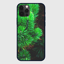 Чехол для iPhone 12 Pro Max Зелёный лес России, цвет: 3D-черный