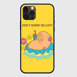 Чехол для iPhone 12 Pro Max Капибара dont worry be capy, цвет: 3D-черный