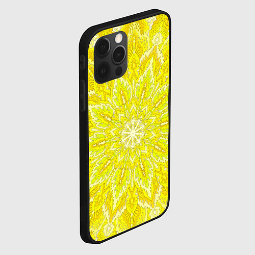 Чехол iPhone 12 Pro Max Мандала Манипура чакра / 3D-Черный – фото 2