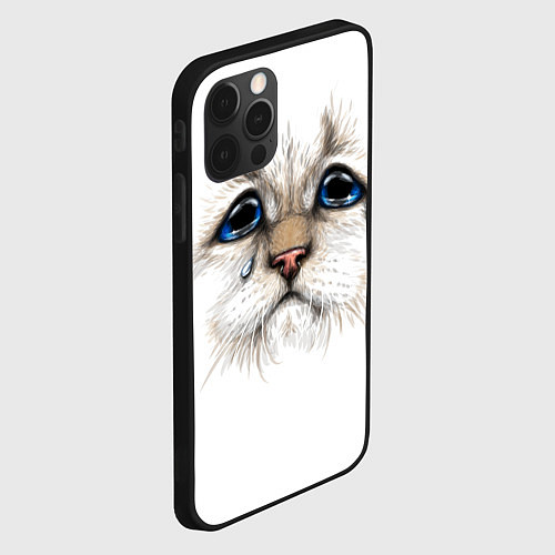 Чехол iPhone 12 Pro Max Белый плачущий кот / 3D-Черный – фото 2