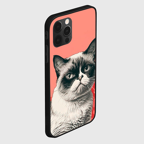 Чехол iPhone 12 Pro Max Недовольный кот в день Святого Валентина / 3D-Черный – фото 2