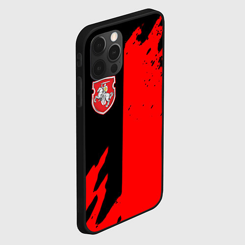 Чехол iPhone 12 Pro Max Белоруссия краски текстура / 3D-Черный – фото 2