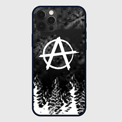 Чехол для iPhone 12 Pro Max Anarchy winter gray, цвет: 3D-черный