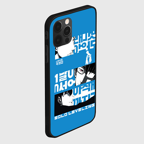 Чехол iPhone 12 Pro Max Sung Jin Woo and the other guys / 3D-Черный – фото 2