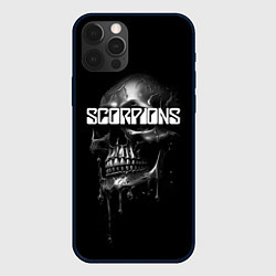 Чехол для iPhone 12 Pro Max Scorpions rock, цвет: 3D-черный