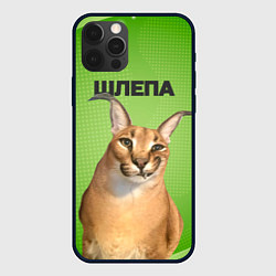 Чехол для iPhone 12 Pro Max Крупный Шлепа, цвет: 3D-черный