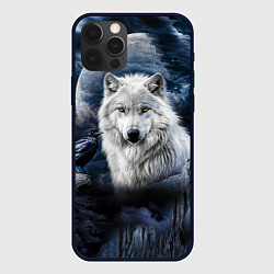Чехол для iPhone 12 Pro Max Белый волк и ворон - темная ночь, цвет: 3D-черный