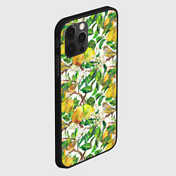 Чехол для iPhone 12 Pro Max Груша и птичка зеленушка, цвет: 3D-черный — фото 2