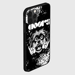 Чехол для iPhone 12 Pro Max The Doors рок пес, цвет: 3D-черный — фото 2