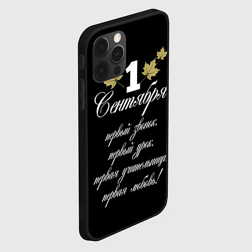 Чехол iPhone 12 Pro Max 1 сентября - первый звонок / 3D-Черный – фото 2