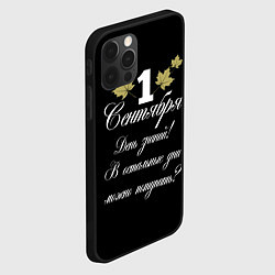 Чехол для iPhone 12 Pro Max 1 сентября - День знаний, цвет: 3D-черный — фото 2