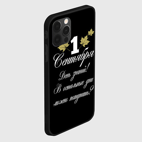Чехол iPhone 12 Pro Max 1 сентября - День знаний / 3D-Черный – фото 2