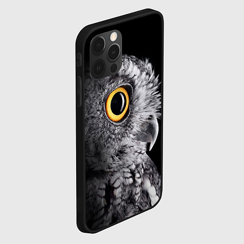Чехол iPhone 12 Pro Max Сова - всевидящее око - big picture / 3D-Черный – фото 2