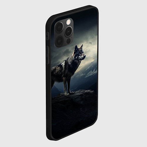 Чехол iPhone 12 Pro Max Волк на горе / 3D-Черный – фото 2