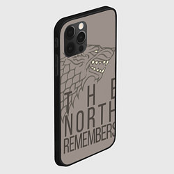 Чехол для iPhone 12 Pro Max The North Remembers game of thrones, цвет: 3D-черный — фото 2