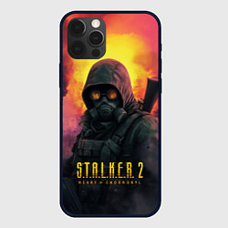 Чехол для iPhone 12 Pro Max Stalker 2 радиоактивный дым, цвет: 3D-черный