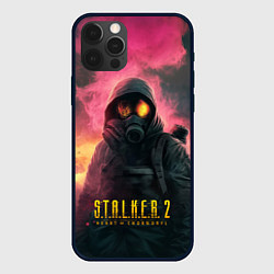 Чехол для iPhone 12 Pro Max Stalker 2 горящий атомный завод, цвет: 3D-черный