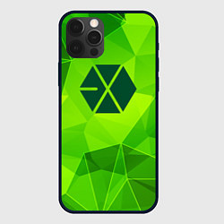 Чехол для iPhone 12 Pro Max Exo green poly, цвет: 3D-черный