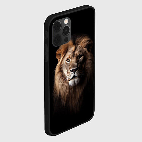 Чехол iPhone 12 Pro Max Mufasa / 3D-Черный – фото 2