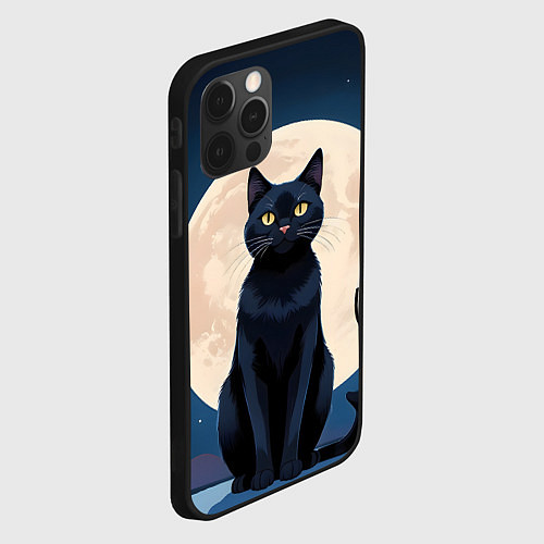 Чехол iPhone 12 Pro Max Кот с вином под луной / 3D-Черный – фото 2
