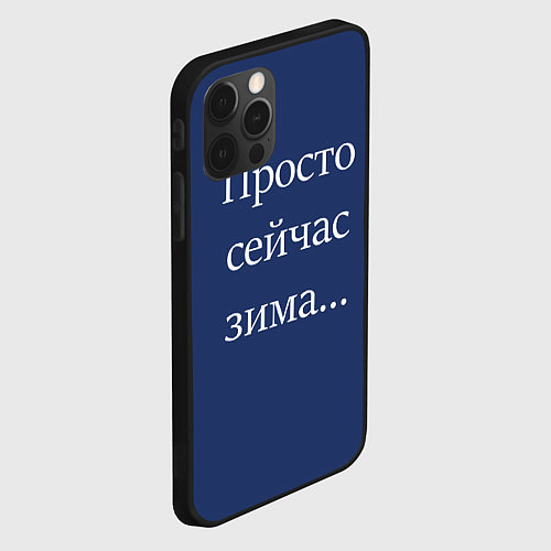 Чехол iPhone 12 Pro Max Просто сейчас зима / 3D-Черный – фото 2