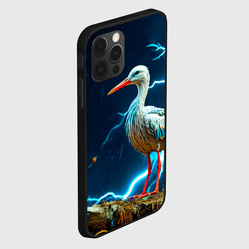 Чехол iPhone 12 Pro Max Аист и гроза / 3D-Черный – фото 2