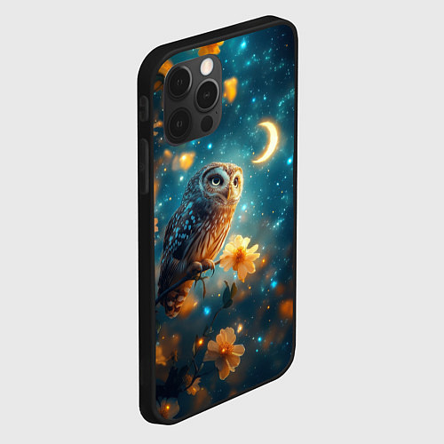 Чехол iPhone 12 Pro Max Сова смотрит на месяц / 3D-Черный – фото 2