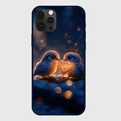 Чехол для iPhone 12 Pro Max Милые влюбленные совушки, цвет: 3D-черный