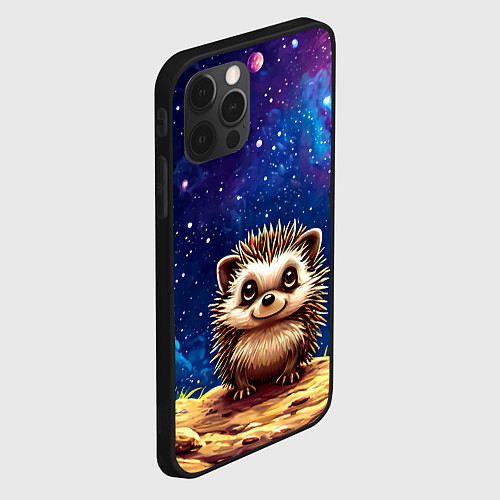 Чехол iPhone 12 Pro Max Ежик и звездное небо / 3D-Черный – фото 2