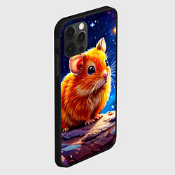 Чехол для iPhone 12 Pro Max Хомяк и космическое небо, цвет: 3D-черный — фото 2