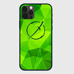 Чехол для iPhone 12 Pro Max Akame ga Kill green poly, цвет: 3D-черный