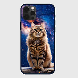 Чехол для iPhone 12 Pro Max Сибирская кошка в космосе, цвет: 3D-черный